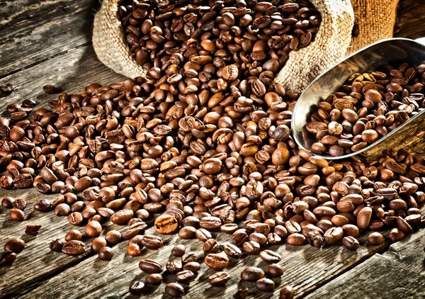 Café expreso y grano de café — Foto de Stock