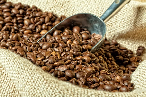 Café expreso y grano de café — Foto de Stock