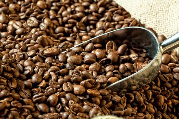 Café expreso y grano de café — Foto de Stock