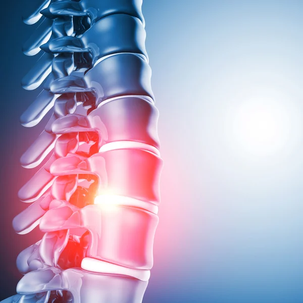 Hueso espinal humano 3d — Foto de Stock