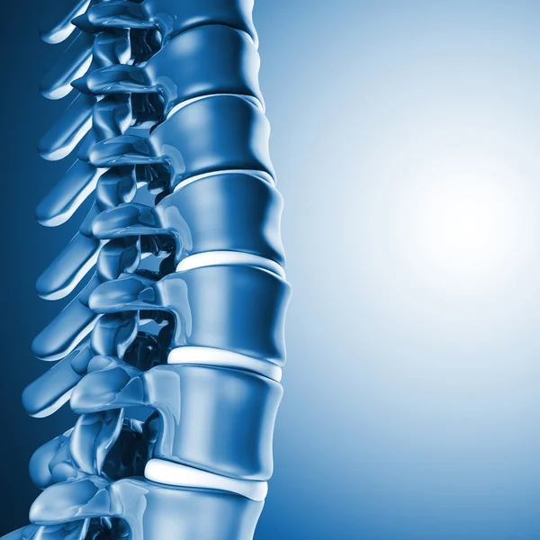 Menselijke spinal bone 3d — Stockfoto