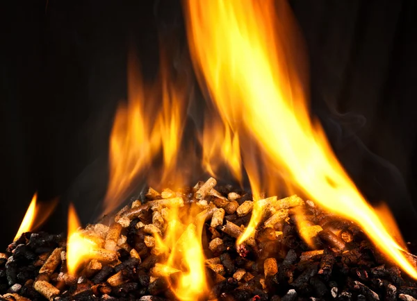 Granulés de bois brûlant — Photo