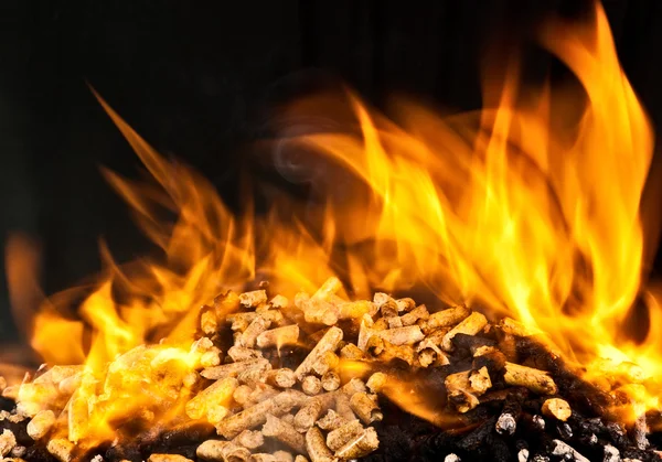 La quema de pellets de madera — Foto de Stock