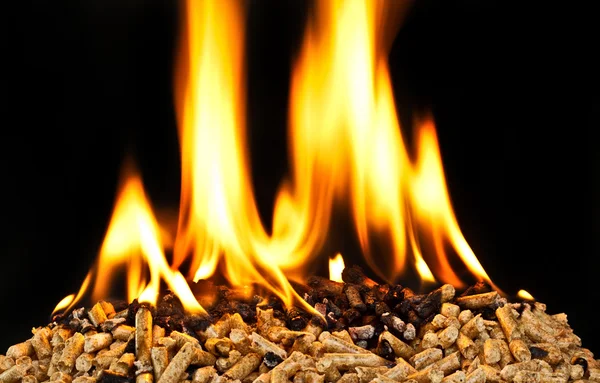 Burning wood pellet — Stock Photo, Image