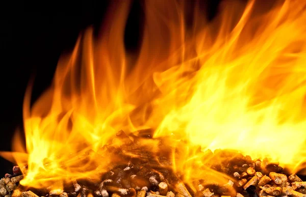 La quema de pellets de madera —  Fotos de Stock