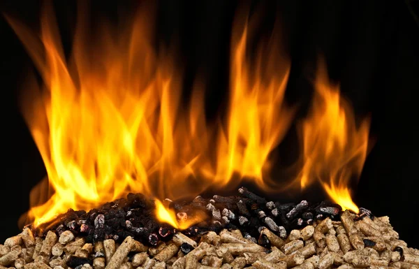 Burning wood pellet — Stock Photo, Image