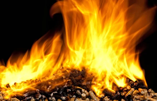 Burning wood pellet — Stock Photo, Image