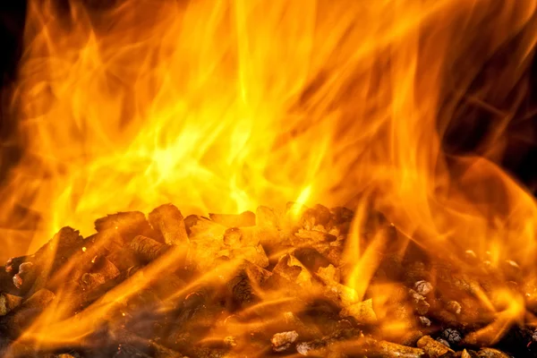 Burning wood pellet — Stock Photo, Image