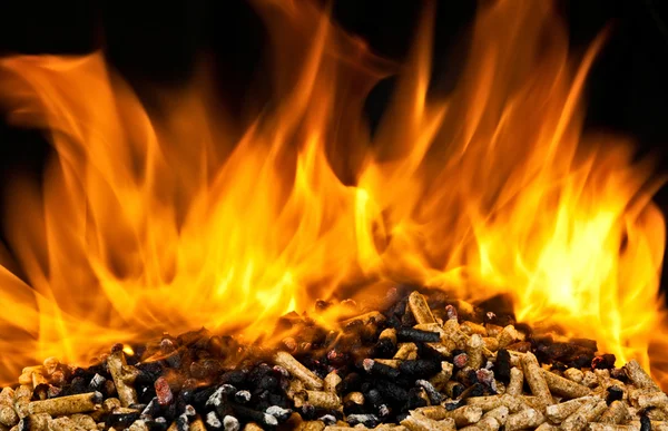 Burning wood pellet — Stock Photo, Image