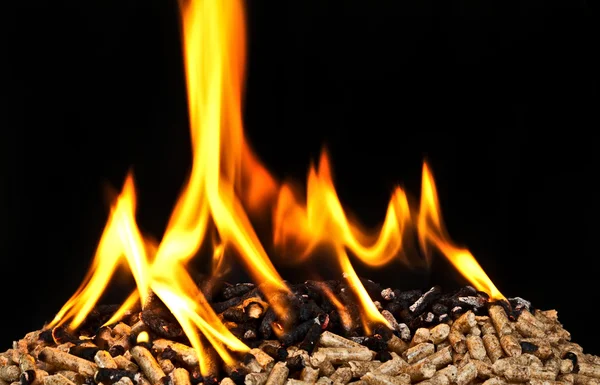 Brinnande trä pellets — Stockfoto