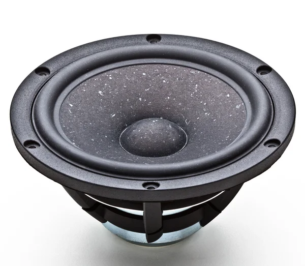 Kağıt woofer sürücüsü — Stok fotoğraf