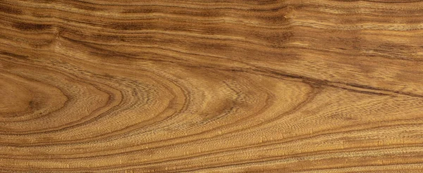 Ćwiczenia Tekstura Drewna Syliquastrum — Zdjęcie stockowe