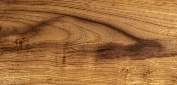 Cercis Siliquastrum Holz Hintergrund Textur — Stockfoto