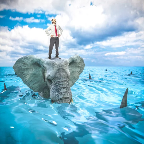 Hombre Negocios Parado Sobre Elefante Caminando Agua Rodeado Tiburones —  Fotos de Stock