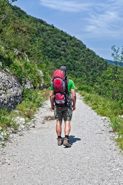 Travel on alps — Stock Photo, Image