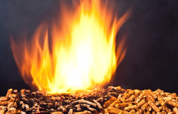 Wood pellet — Stock Photo, Image