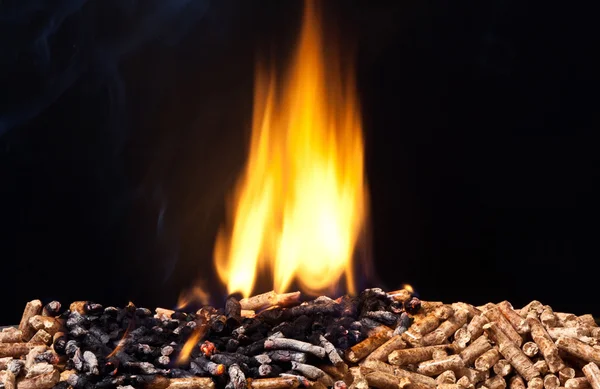 Pellets de madera —  Fotos de Stock