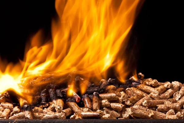 Wood pellet — Stock Photo, Image