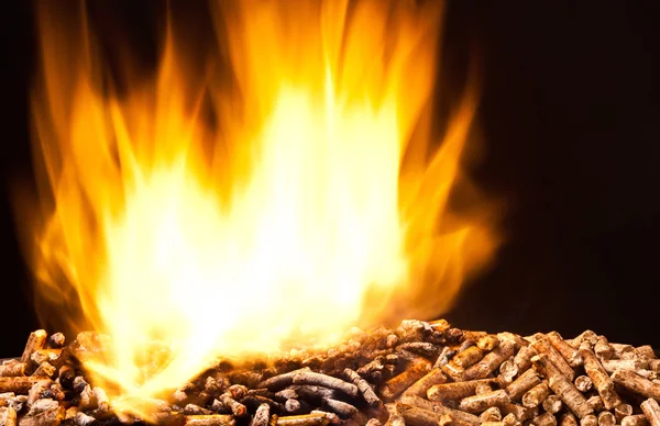 Wood pellet — Stock Photo, Image