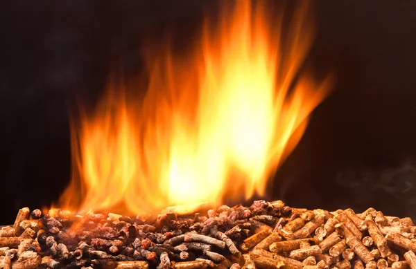 Wood pellet — Stock Photo, Image