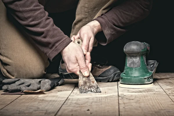 Sander i aktion — Stockfoto