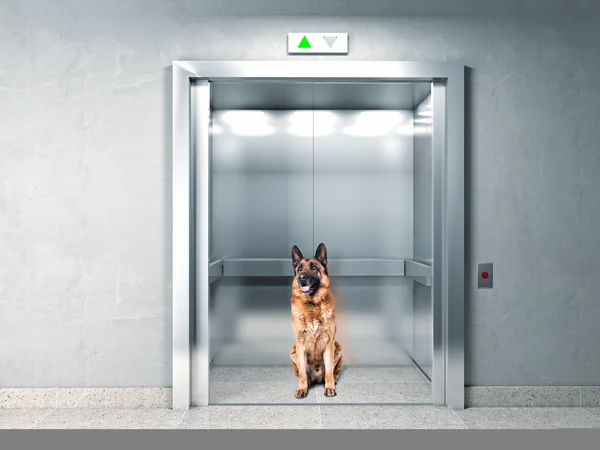 Elevator security — Stock Photo, Image