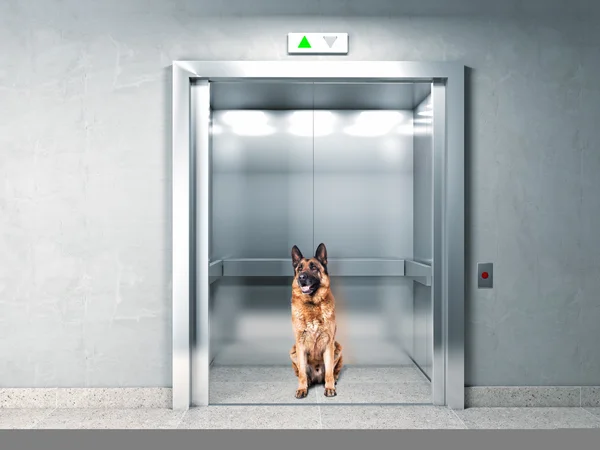 Lift zekerheid — Stockfoto