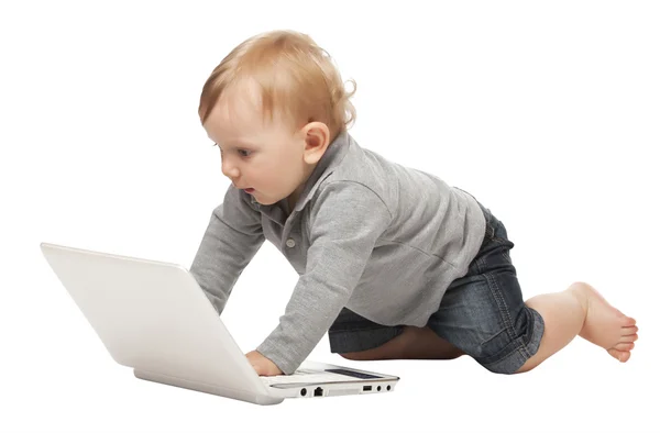 Baby with pc Stock Image