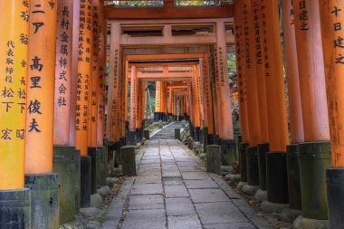 Fushimi inari taisha torii kapısı yukarıya giden yol.