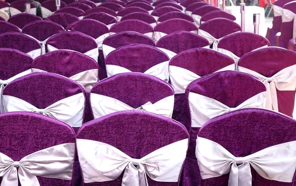 Festive Chairs with Purple Cloth Covering — Stock Photo, Image