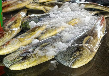 Büyük Dolphinfish piyasada satışa
