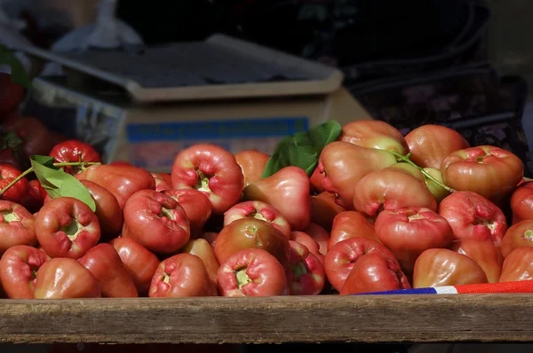 Maçãs de cera fresca ou frutos do sino — Fotografia de Stock