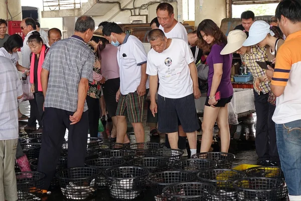 Inspecting Seafood at the Fish Market — Stock Photo, Image