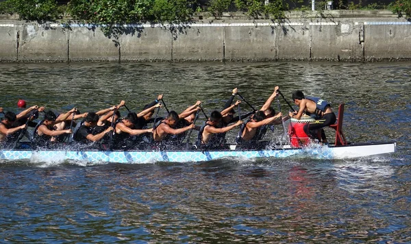 Training for the Dragon Boat Races — Stock Photo, Image