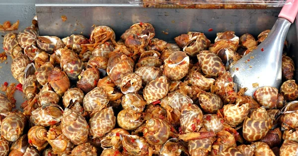 Gebakken zee slakken met Chili — Stockfoto