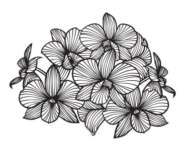 Orkide buketi. Desen orkide. Vektör orkide kümesi. Beyaz bir arka plan üzerinde izole orkide