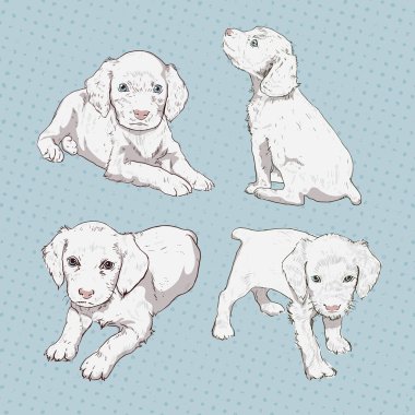 Küçük köpek yavrusu el-çizim seti