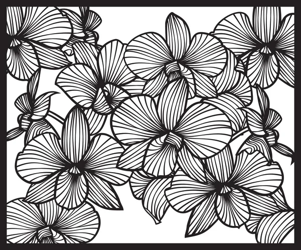 蘭の花束。蘭の花のパターン。ベクトル蘭のセットです。白い背景で蘭に分離 — ストックベクタ