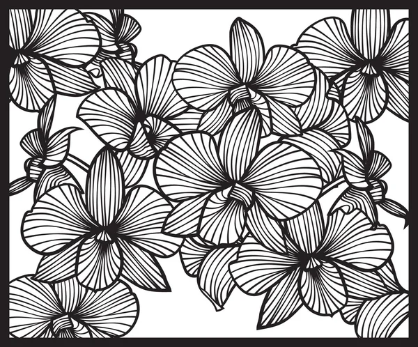 Ramo de orquídeas. Patrón de orquídeas. Conjunto de orquídeas vectoriales. Orquídeas aisladas sobre fondo blanco — Vector de stock