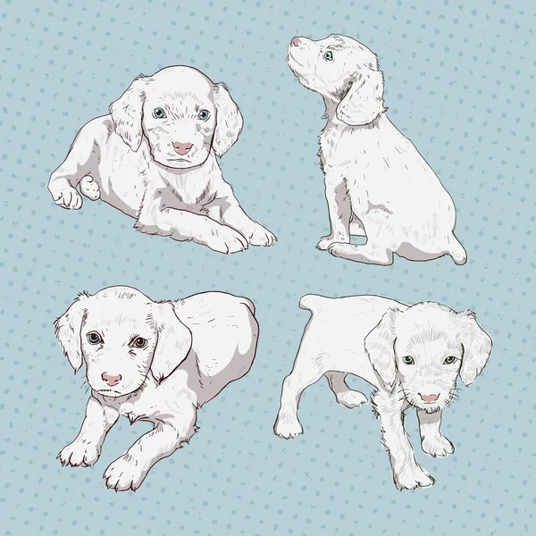 小さな子犬の手描きのセット — ストックベクタ