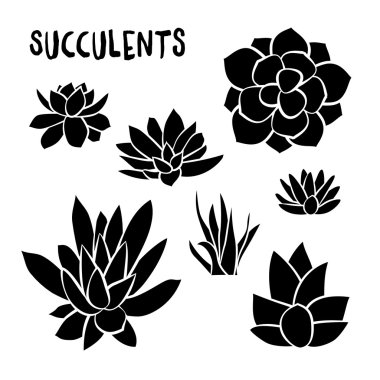 Grafik tasarım kartları, davetiyeler için beyaz arka plan üzerinde izole succulents kümesi