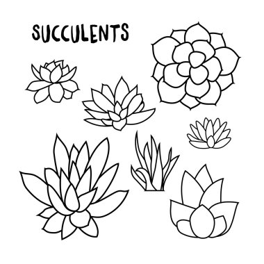 Grafik tasarım kartları, davetiyeler için beyaz arka plan üzerinde izole succulents kümesi