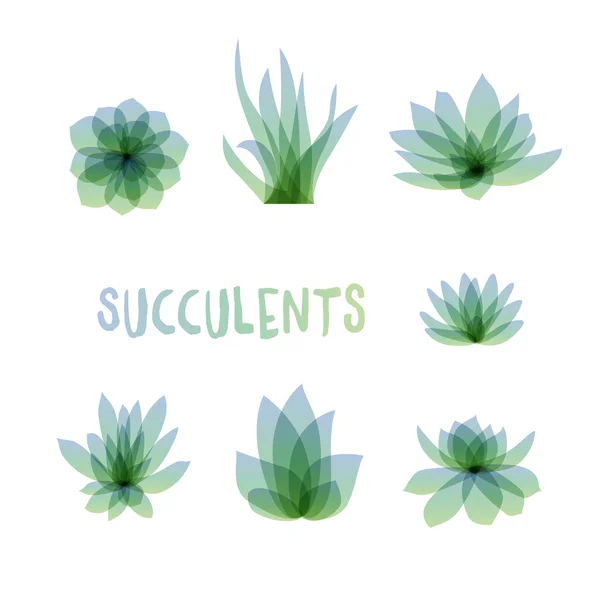 Afbeeldingenset van vetplanten geïsoleerd op een witte achtergrond voor ontwerp van kaarten, uitnodigingen — Stockvector