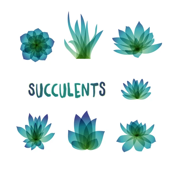 Graphic Set de succulents isolés sur fond blanc pour la conception de cartes, invitations — Image vectorielle