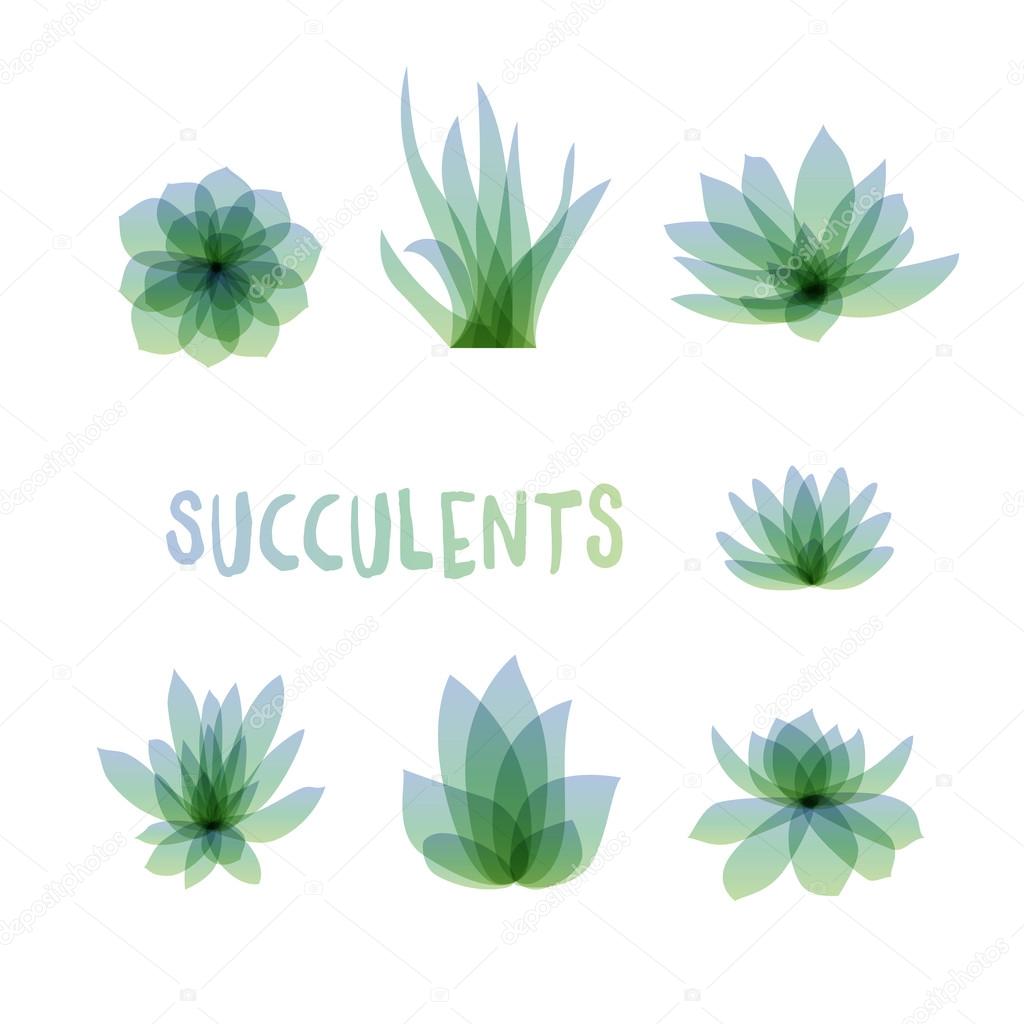 Graphic Set of succulents isolated on white background for design of cards, invitations