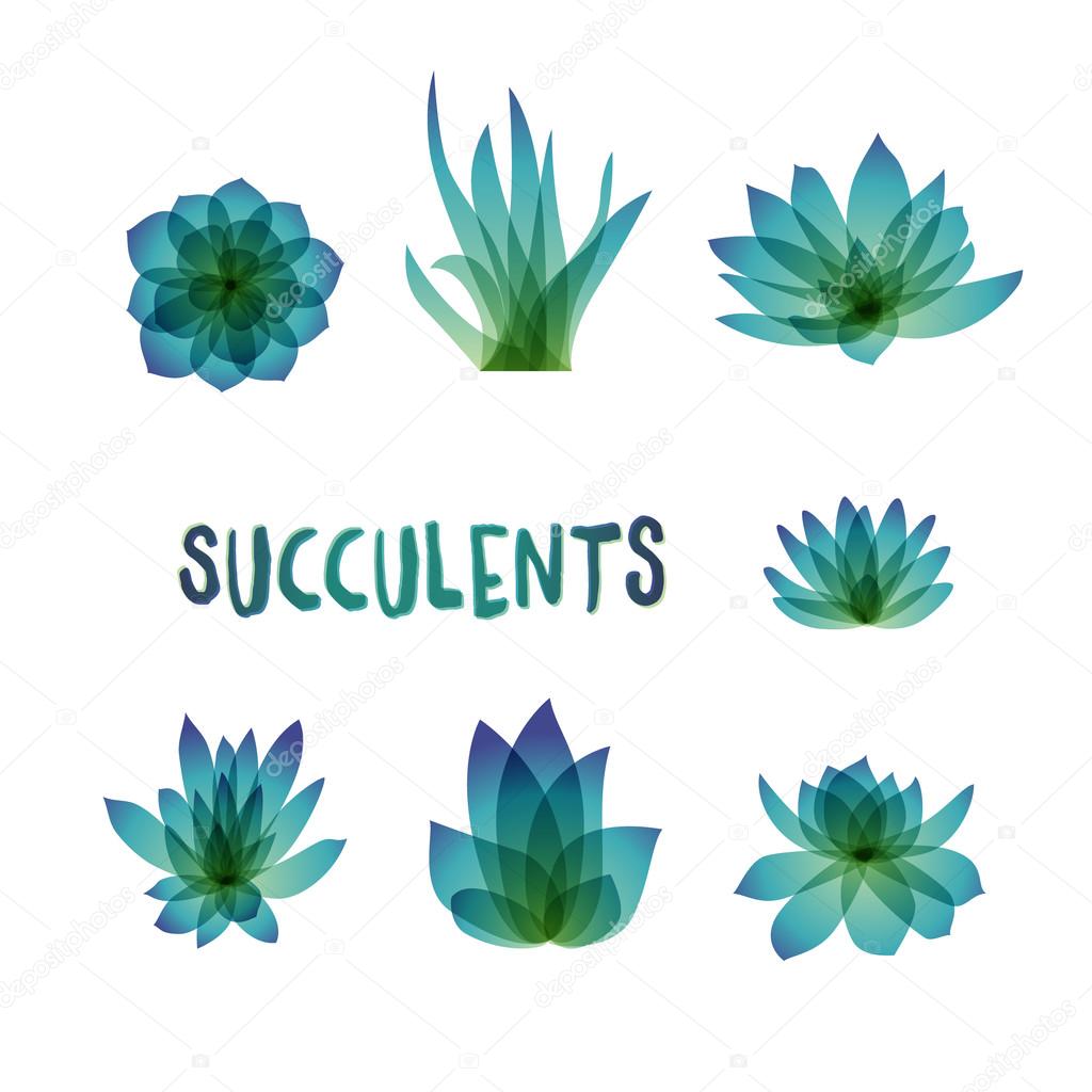 Graphic Set of succulents isolated on white background for design of cards, invitations