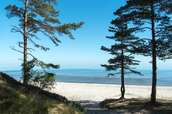 Toujours la mer Baltique. — Stockfoto