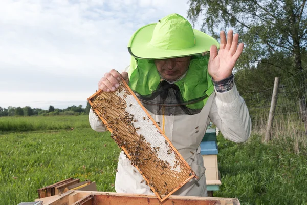 Bijen en imker. — Stockfoto