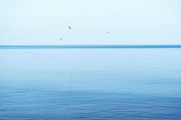 Blaue Ostsee. — Stockfoto