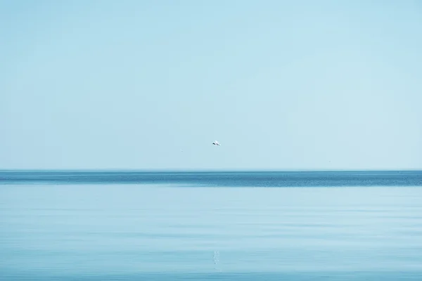 Mavi Baltık Denizi. — Stok fotoğraf